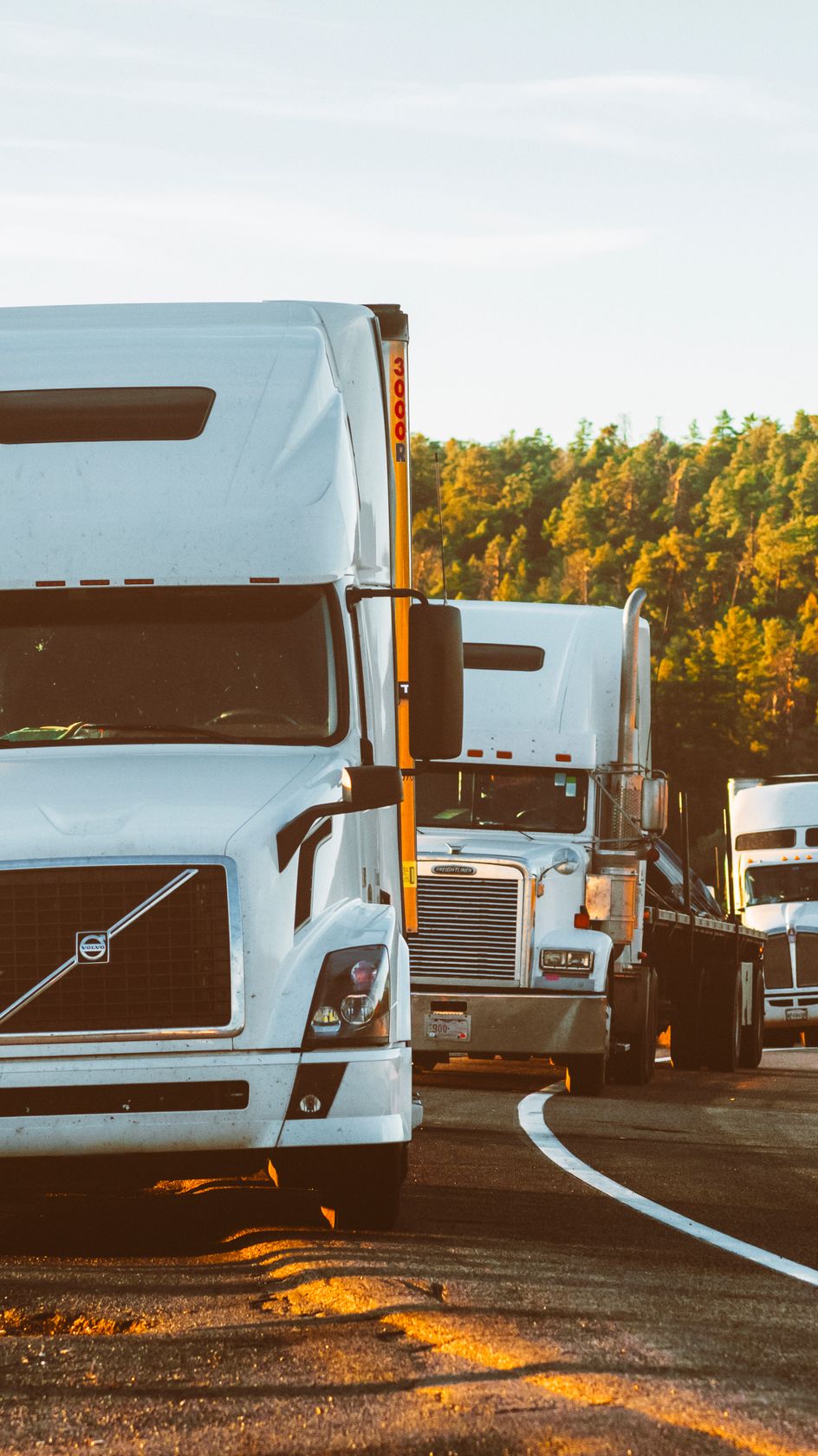 Volvo truck convoy at golden hour