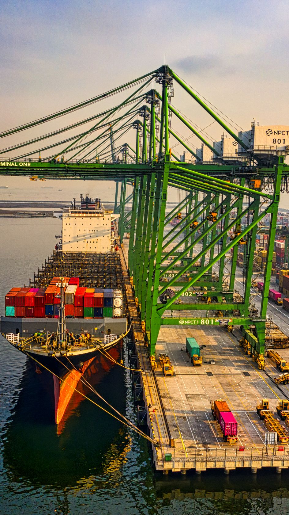 Container ship and gantry cranes at port